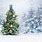 Beautiful Christmas Tree White Background