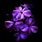 Beautiful Dark Purple Flower