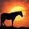 Beautiful Horse Silhouette