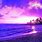 Beautiful Purple Beaches