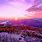 Beautiful Purple Sunrise