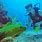 Belize Diving