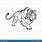 Bengal Tiger Line Drawing