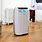Best Dehumidifiers for Home