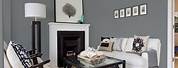 Best Gray Paint Colors for Living Room