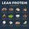 Best Lean Protein Foods
