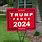 Best Political Signs for 2024