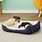 Best Small Dog Bed