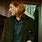 Bill Weasley Werewolf