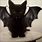 Black Cat Bat