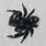 Black Fuzzy Spider with White Spots