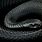 Black Mamba Snake Skin