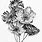 Black and White Flower Drawings Art