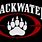 Blackwater Logo.png
