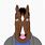 Bojack Horseman Face