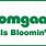 Bomgaars Plants