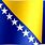 Bosnia Flag GIF