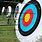 Bow Arrow Archery Target