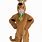 Boys Scooby Doo Costume