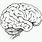 Brain Coloring Page for Kids
