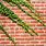 Brick Wall with Vines