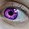 Bright Purple Eyes