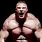 Brock Lesnar Bodybuilding