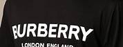 Burberry T-Shirts for Men