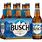 Busch Beer Bottles