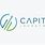 Capital Investment Logo