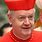 Cardinal Hat Catholic