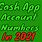 Cash App Account Number