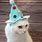 Cat Birthday Hat