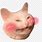 Cat Blush Emoji