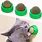 Cat Catnip Ball