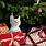 Cat Christmas Presents