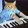 Cat On Piano Meme