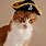 Cat Pirate Hat