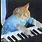 Cat Playing Piano Meme 1 Hour