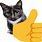 Cat Thumbs Up Emoji Meme