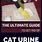 Cat Urine Smell