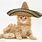 Cat Wearing Sombrero