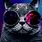 Cat with Galaxy Glasses