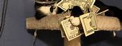 Cat with Money Meme at the Bank