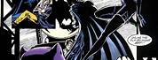 Catwoman Batman Comic Strip