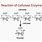 Cellulase Enzyme