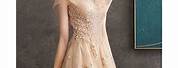 Champagne Gold Color Dress