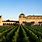 Chateau Haut-Brion Winery