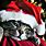 Christmas Cat Desktop