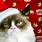 Christmas LOL Cats